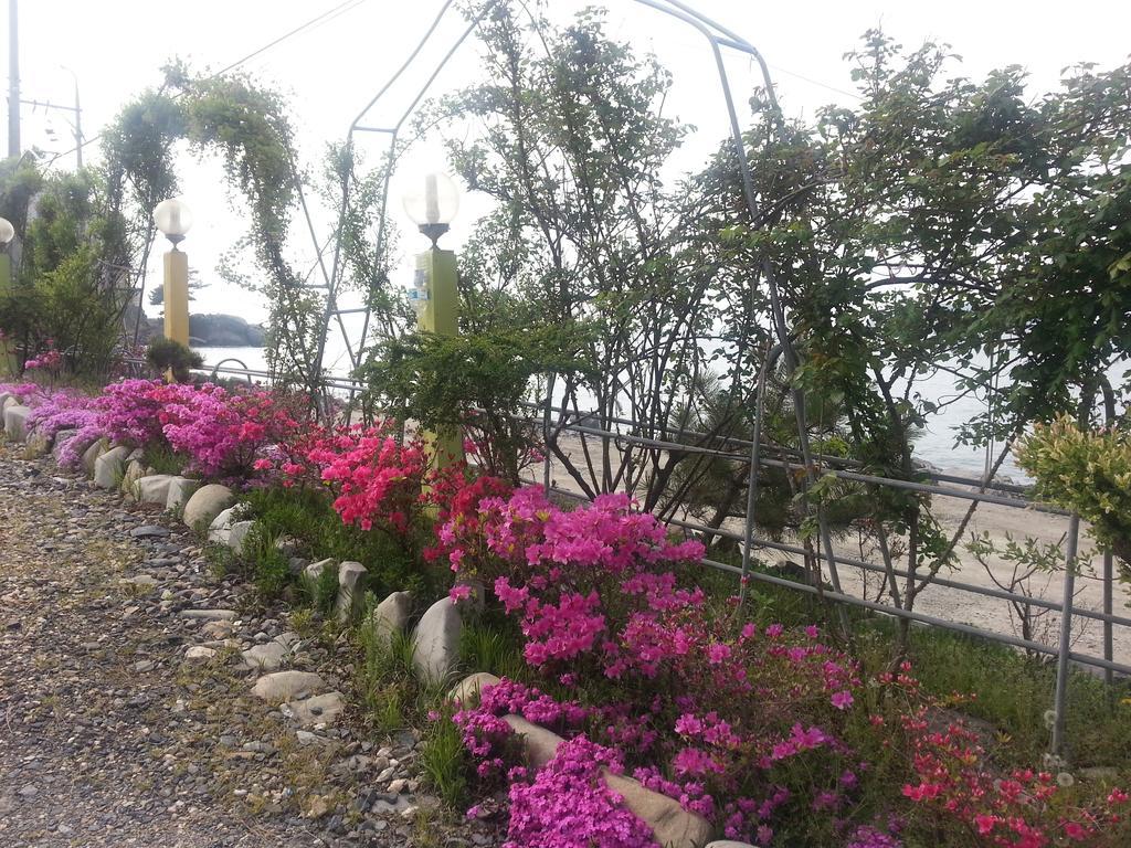 Yongdu Beach Pension Boryeong Bagian luar foto