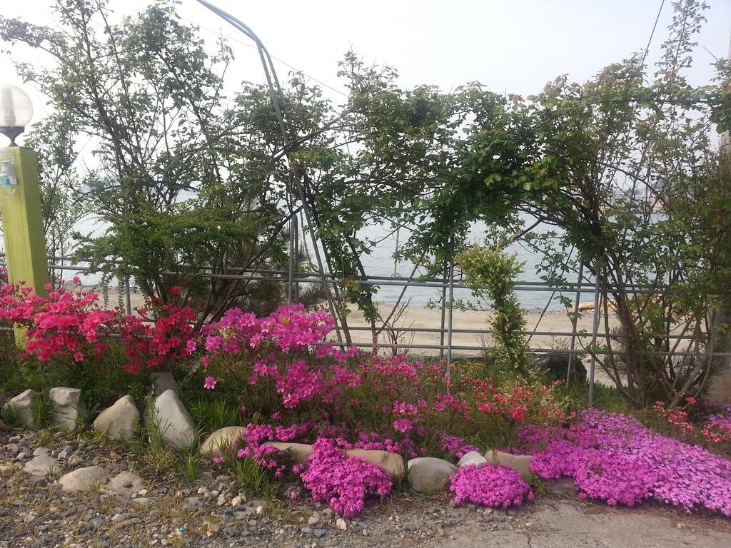 Yongdu Beach Pension Boryeong Bagian luar foto