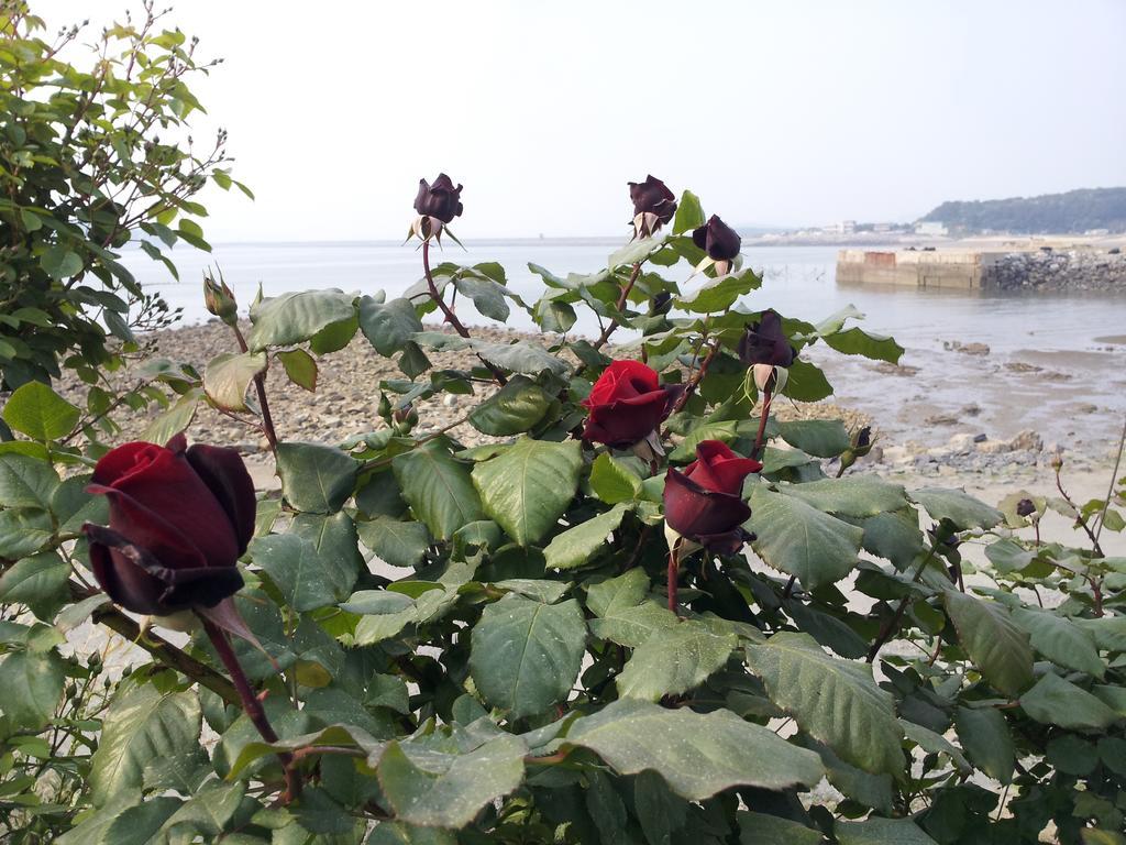 Yongdu Beach Pension Boryeong Bagian luar foto